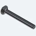 Carriage Bolts