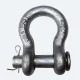 picture of categoryShackles