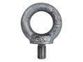 DIN Standard Lifting Eye Bolt Category Image