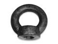 DIN Standard Lifting Eye Nut Category Image