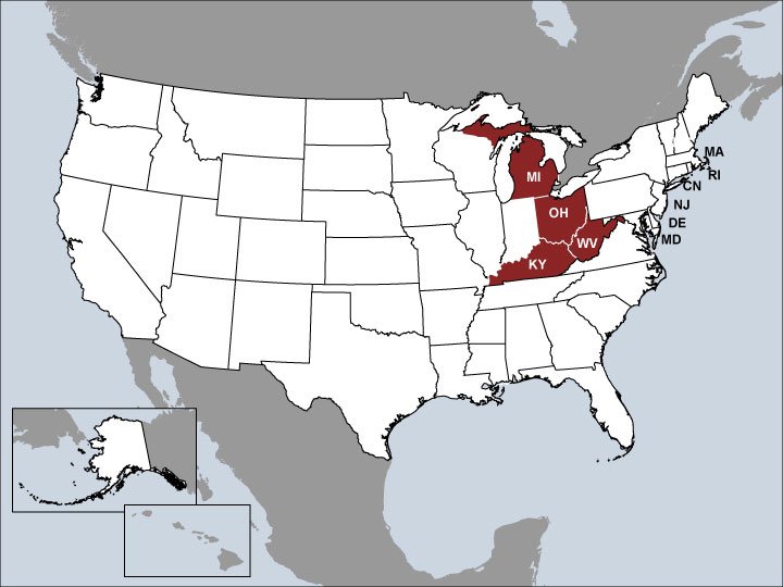 Chris Levicki Sales Map